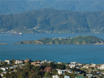 MatiuSomes Island sm
